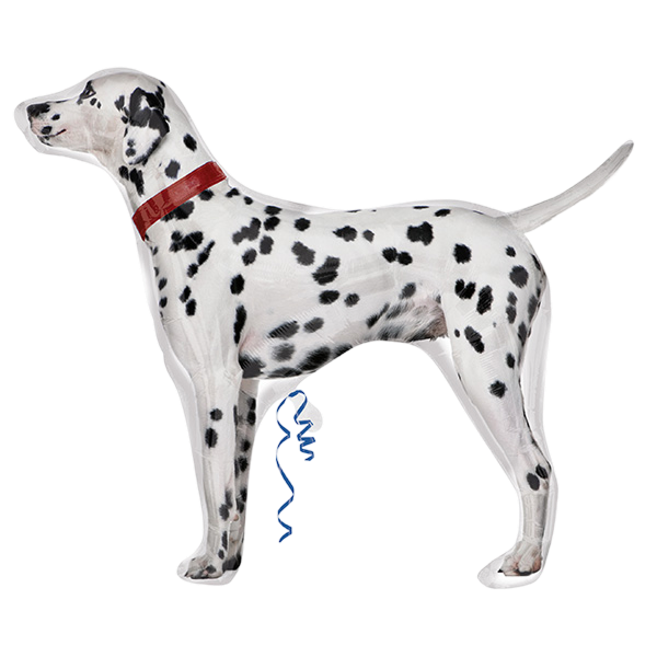 Vl Supershape Dalmatian Street